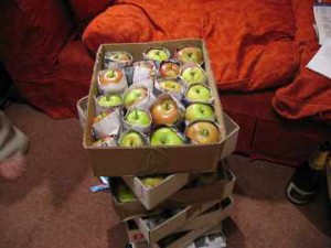 Having apple trees is one thing. Individually wrapping a couple of sacks of apples is quite another...