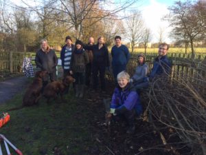 Hedgelaying November 2017-March 2018