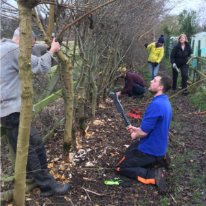 Hedgelaying November 2017-March 2018