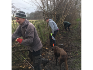 Hedgelaying November 2017-March 2018